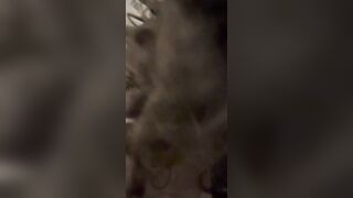 Noarmsvip AKA Inga Petry Amputee Tiktoker Sucking Cock Onlyfans