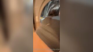 Taliyaandgustavo Washing Machine Stuck Doggy Onlyfans