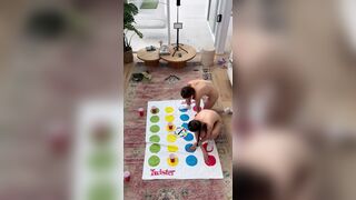 Themaytwins Full Nude Twister Game Playing Onlyfans