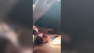 Marcela Lelly Sucks Cock Behind The Wheel