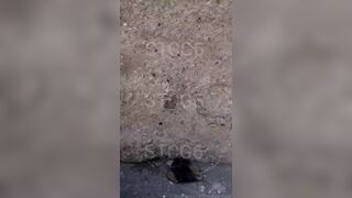 Mady Gio Fucked By A Bbc On Public Beach Onlyfans Leaked Video